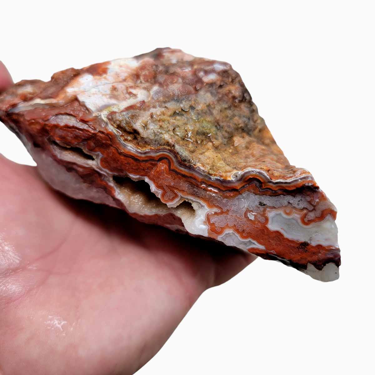 Laguna Lace Agate Cut Rough Chunk!