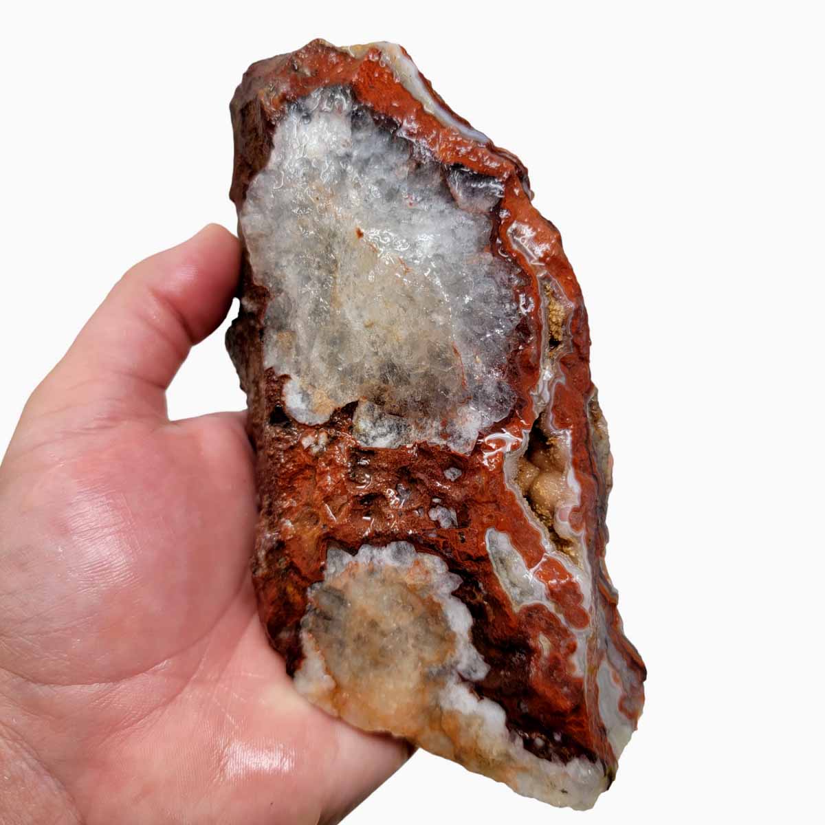 Laguna Lace Agate Cut Rough Chunk!