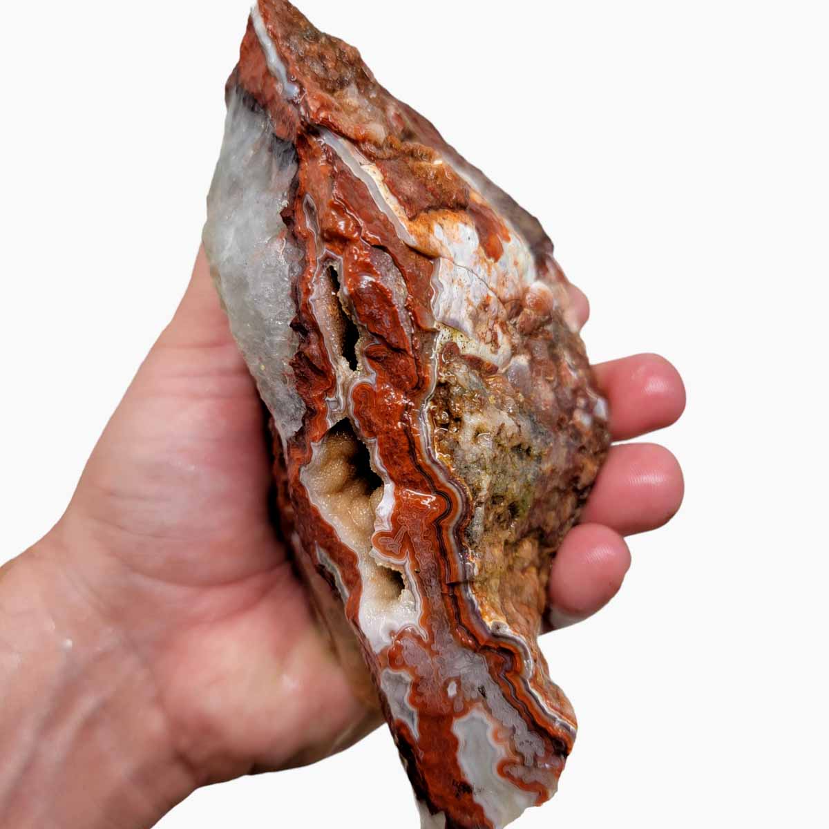 Laguna Lace Agate Cut Rough Chunk!