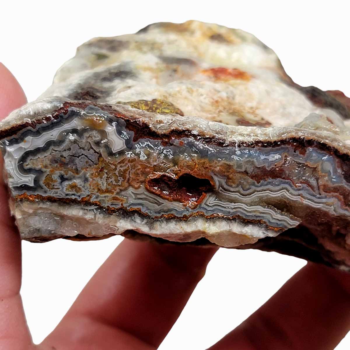 Laguna Lace Agate Cut Rough Chunk!