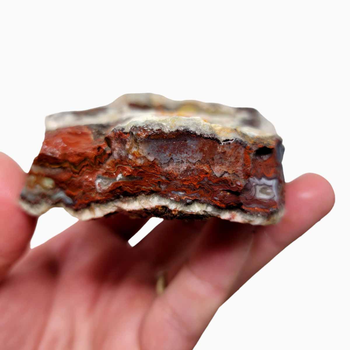 Laguna Lace Agate Cut Rough Chunk!