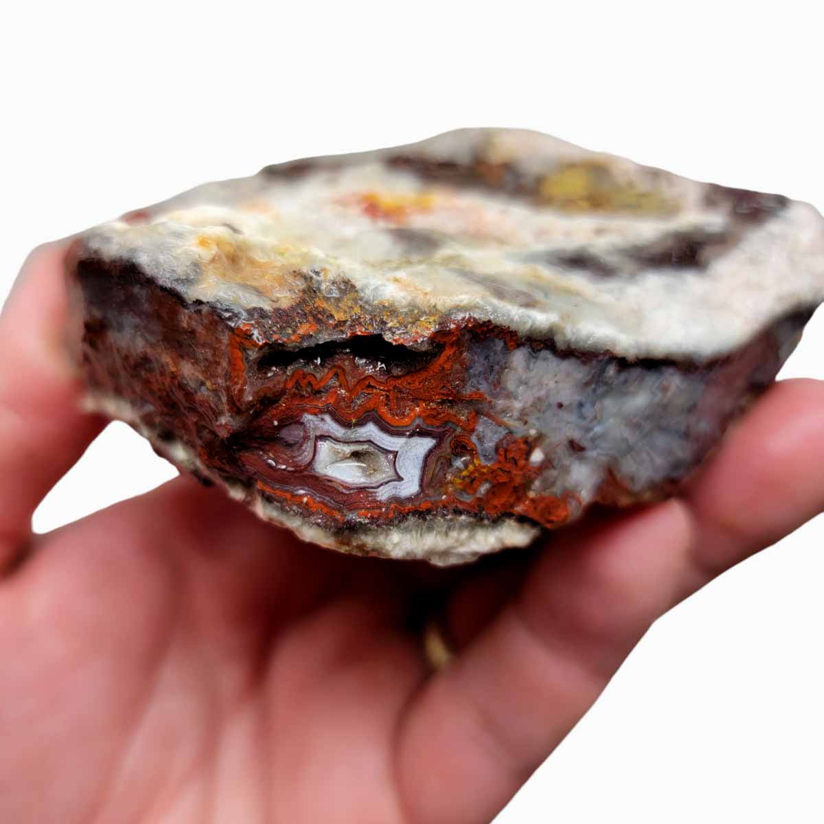 Laguna Lace Agate Cut Rough Chunk!