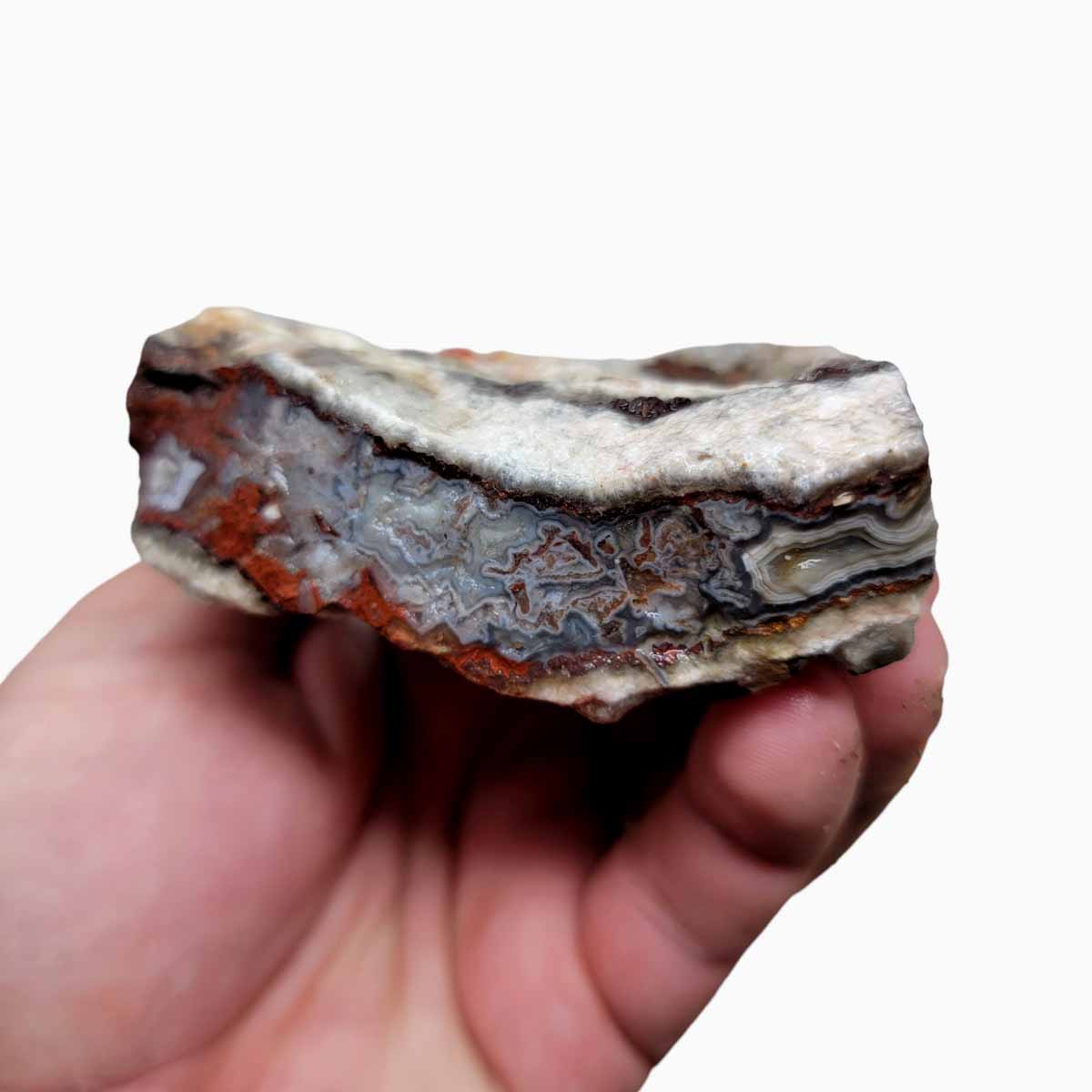 Laguna Lace Agate Cut Rough Chunk!