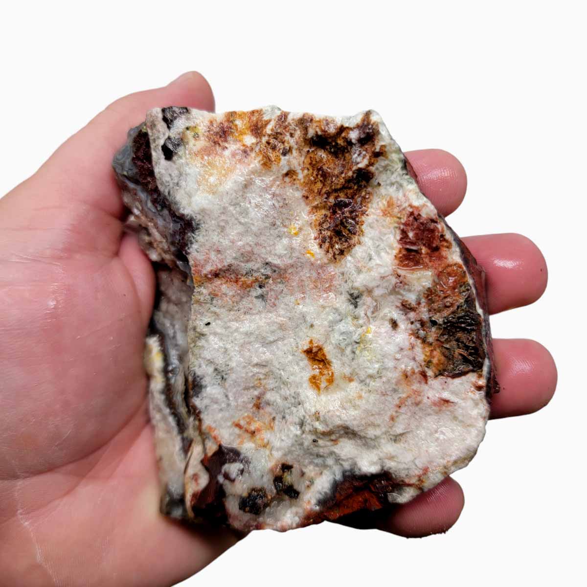 Laguna Lace Agate Cut Rough Chunk!