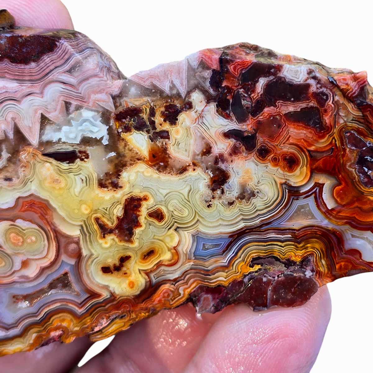 Laguna Lace Agate Slab Lapidary Stone Slab