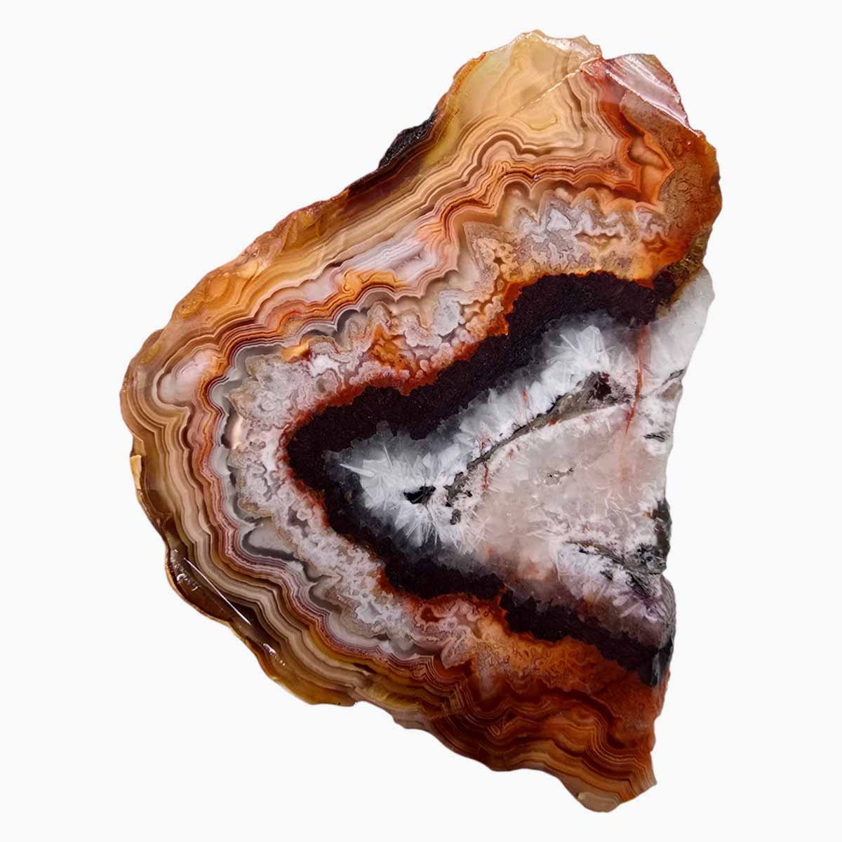 Laguna Lace Agate Slab Lapidary Stone Slice Cut Rock