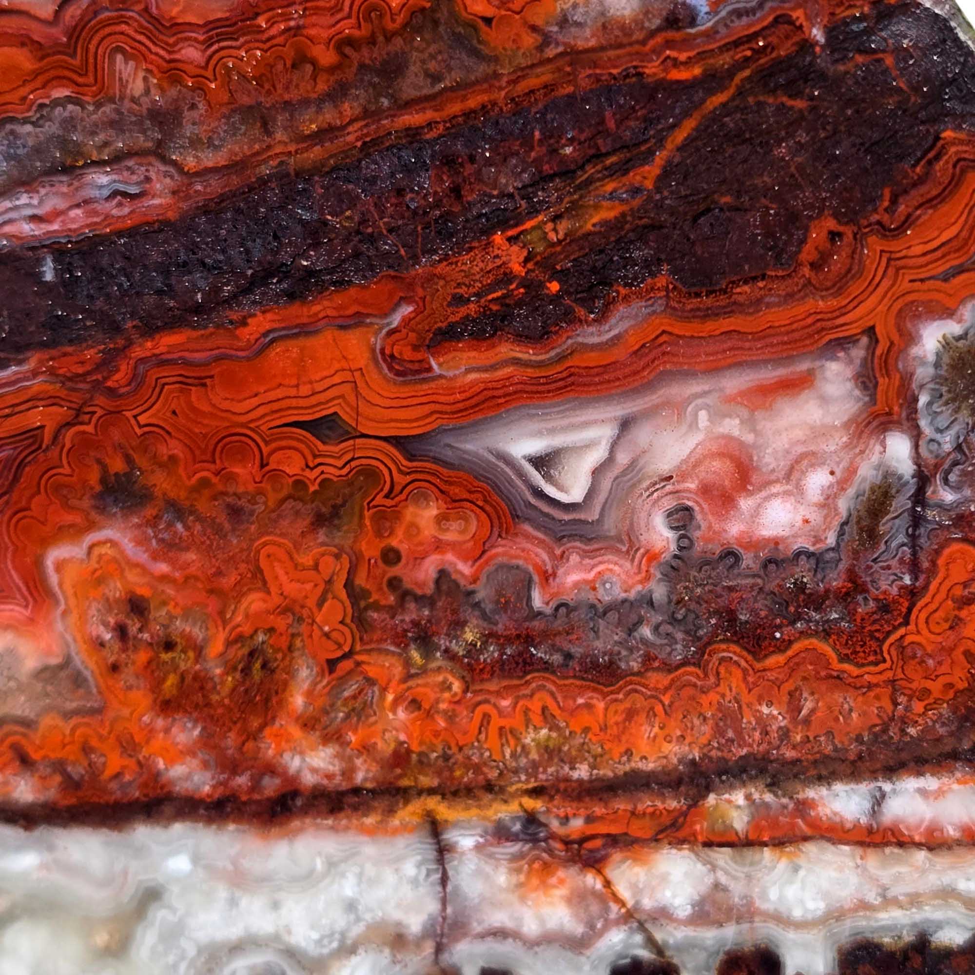 Laguna Lace Agate Slab Lapidary Stone Slice Cut Rock