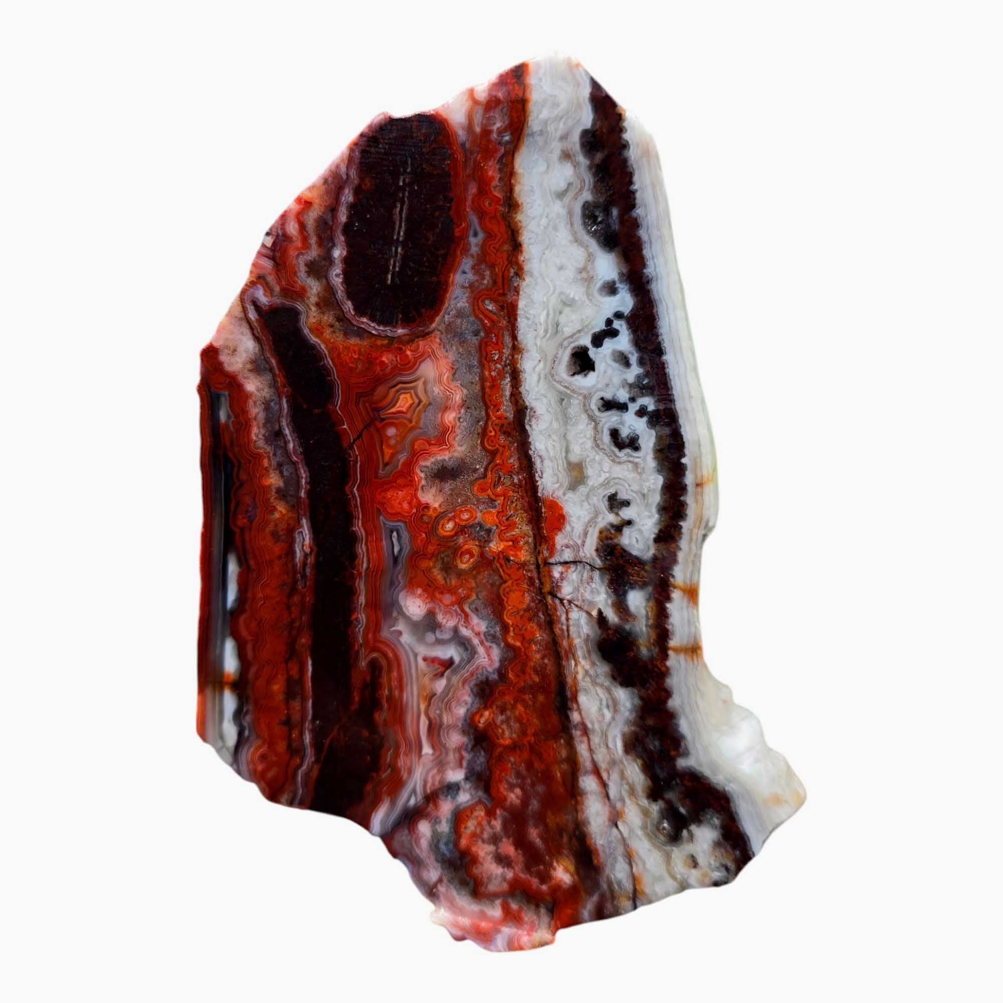 Laguna Lace Agate Slab Lapidary Stone Slice Cut Rock