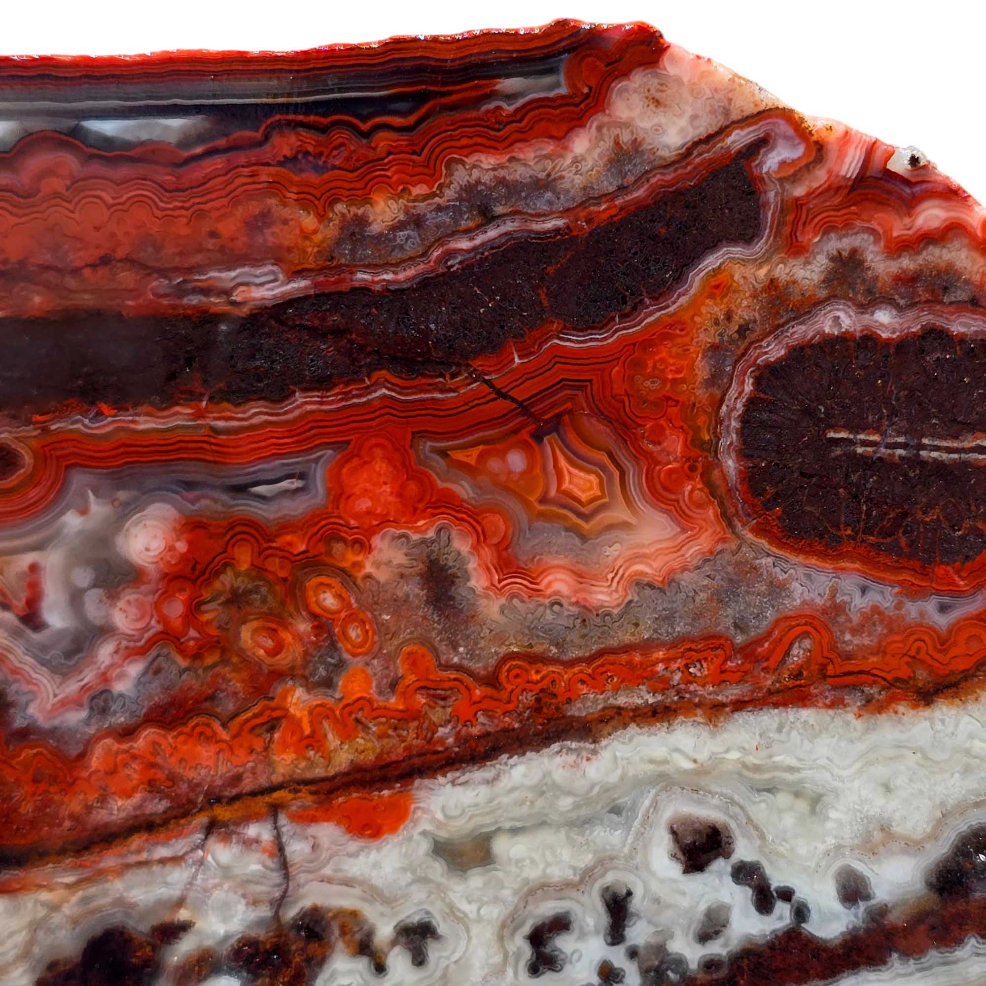 Laguna Lace Agate Slab Lapidary Stone Slice Cut Rock