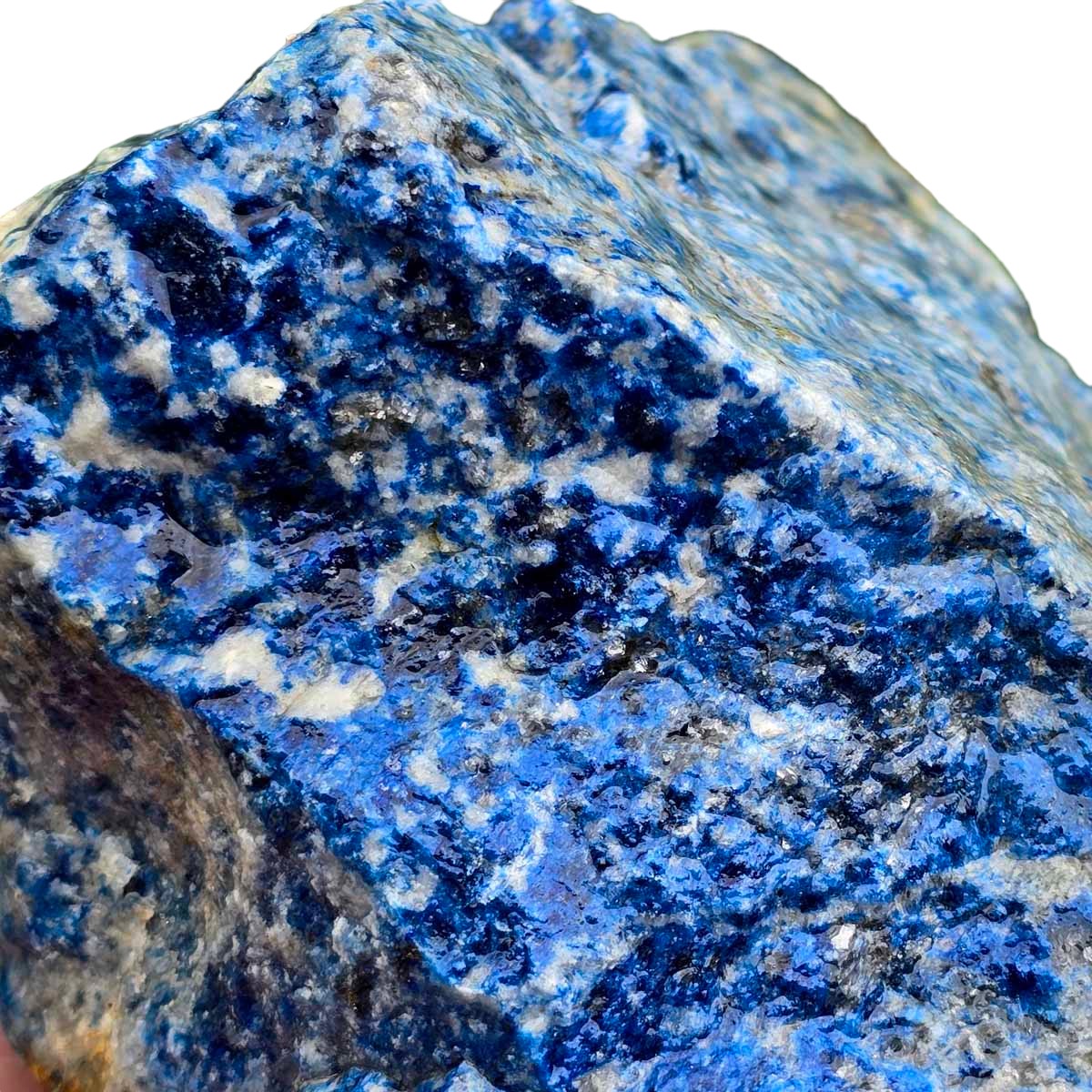 Lapis Lazuli Cutting Rough Chunk!