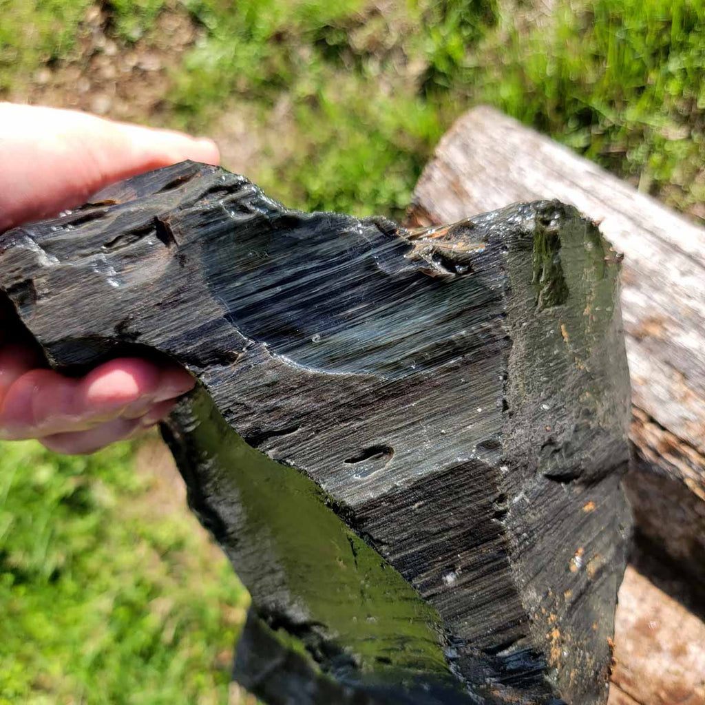 Obsidian Large Large Mexican Velvet Obsidian Rough Chunk!