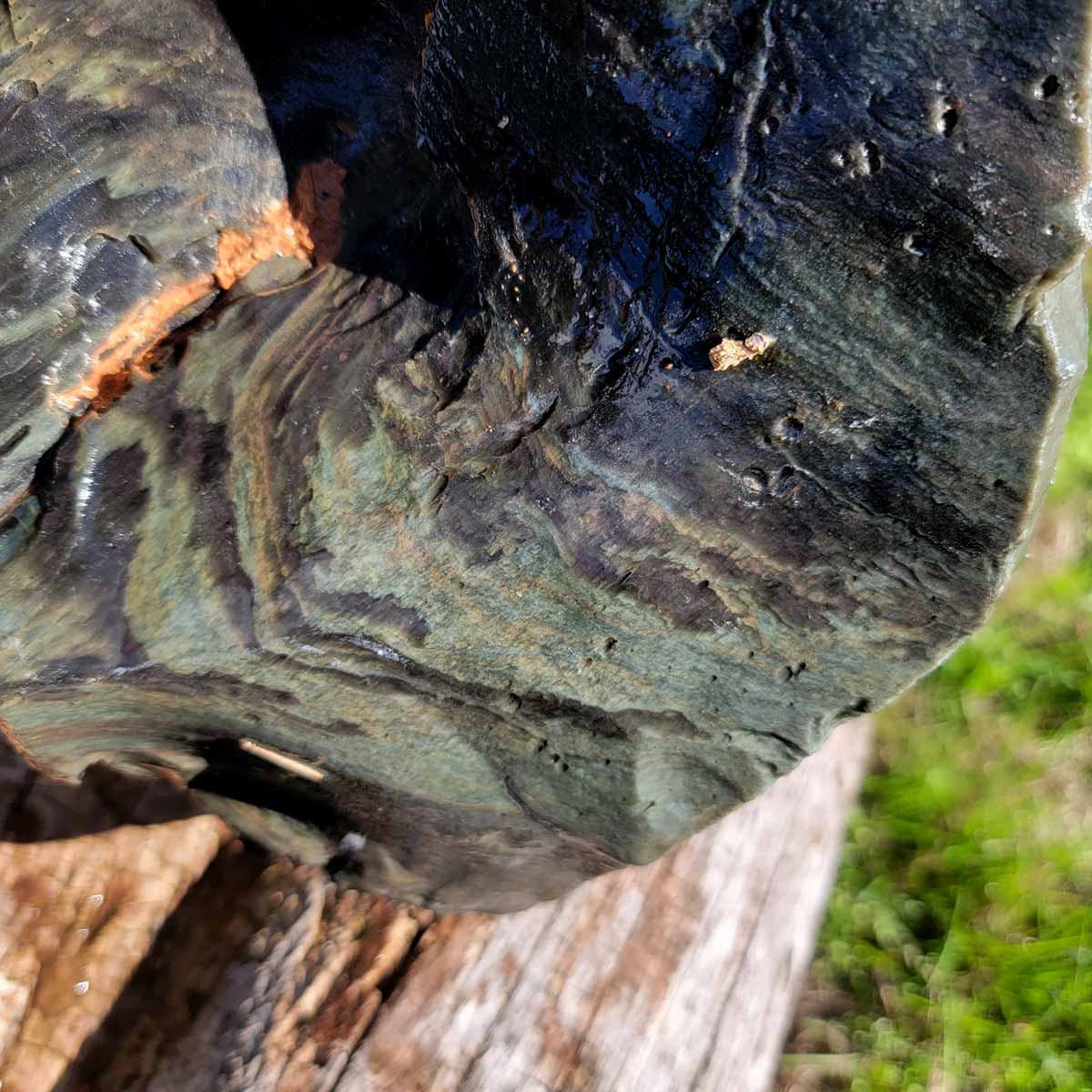 Large Mexican Velvet Obsidian Rough Chunk!