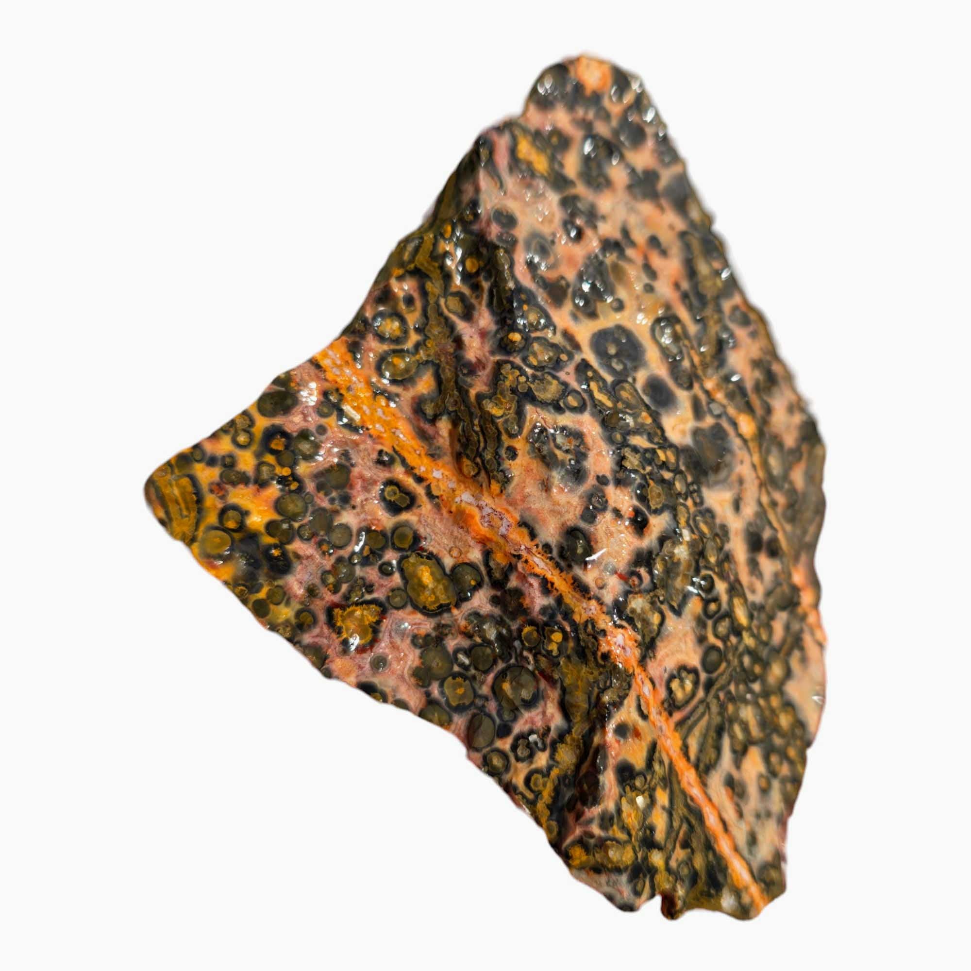Leopard Skin Rhyolite Lapidary Cutting Rough Chunk