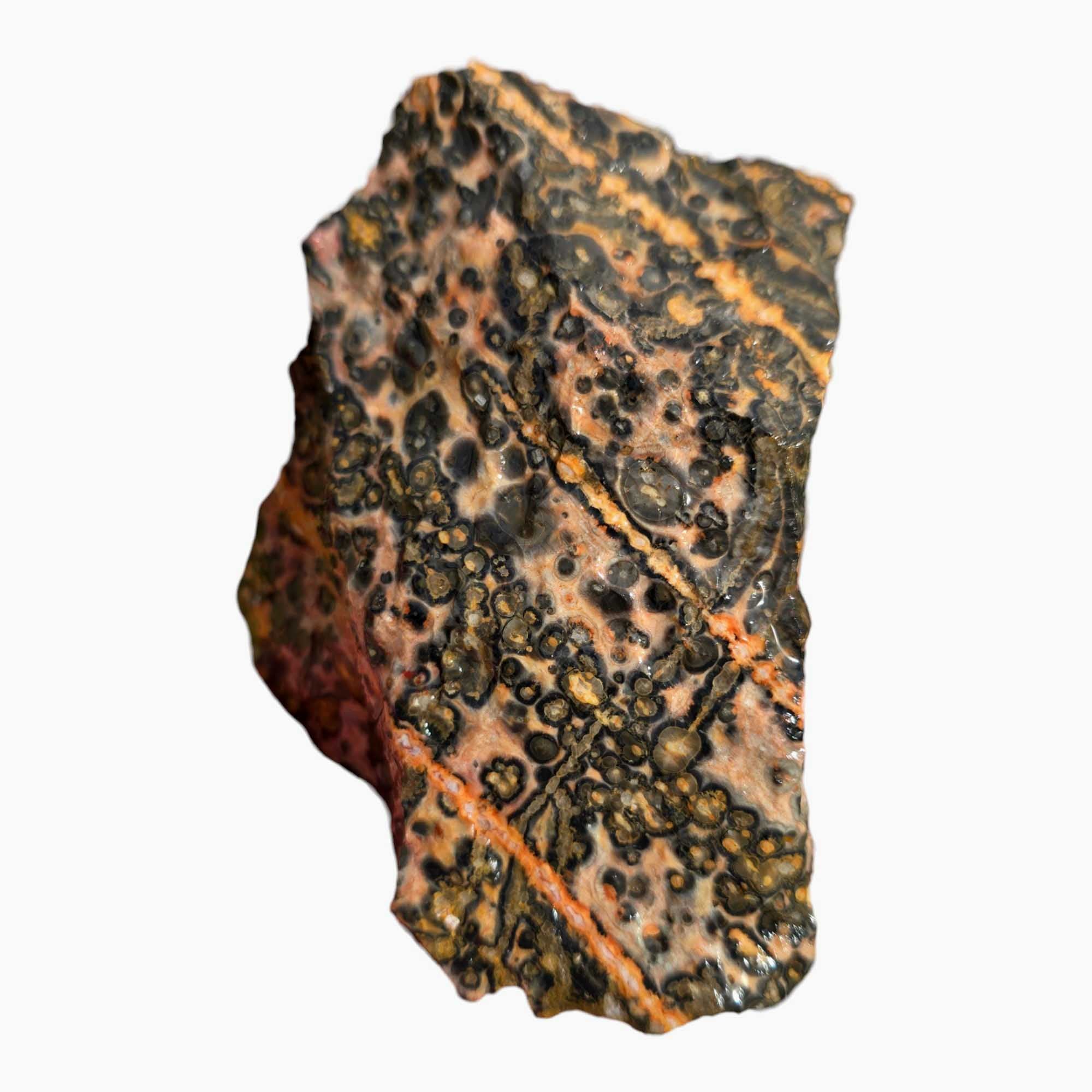 Leopard Skin Rhyolite Lapidary Cutting Rough Chunk