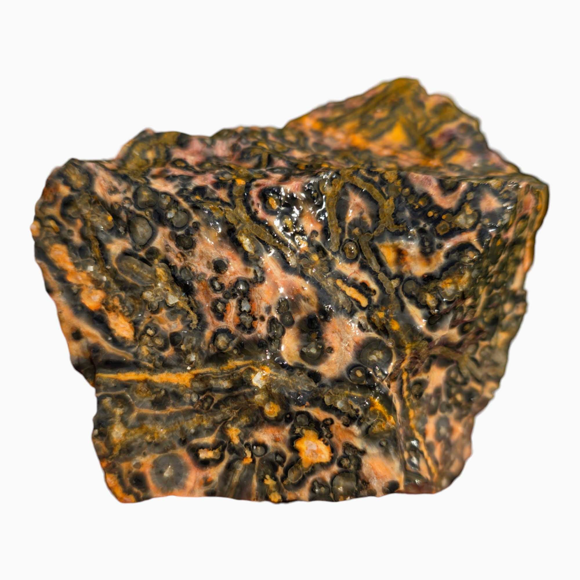 Leopard Skin Rhyolite Lapidary Cutting Rough Chunk