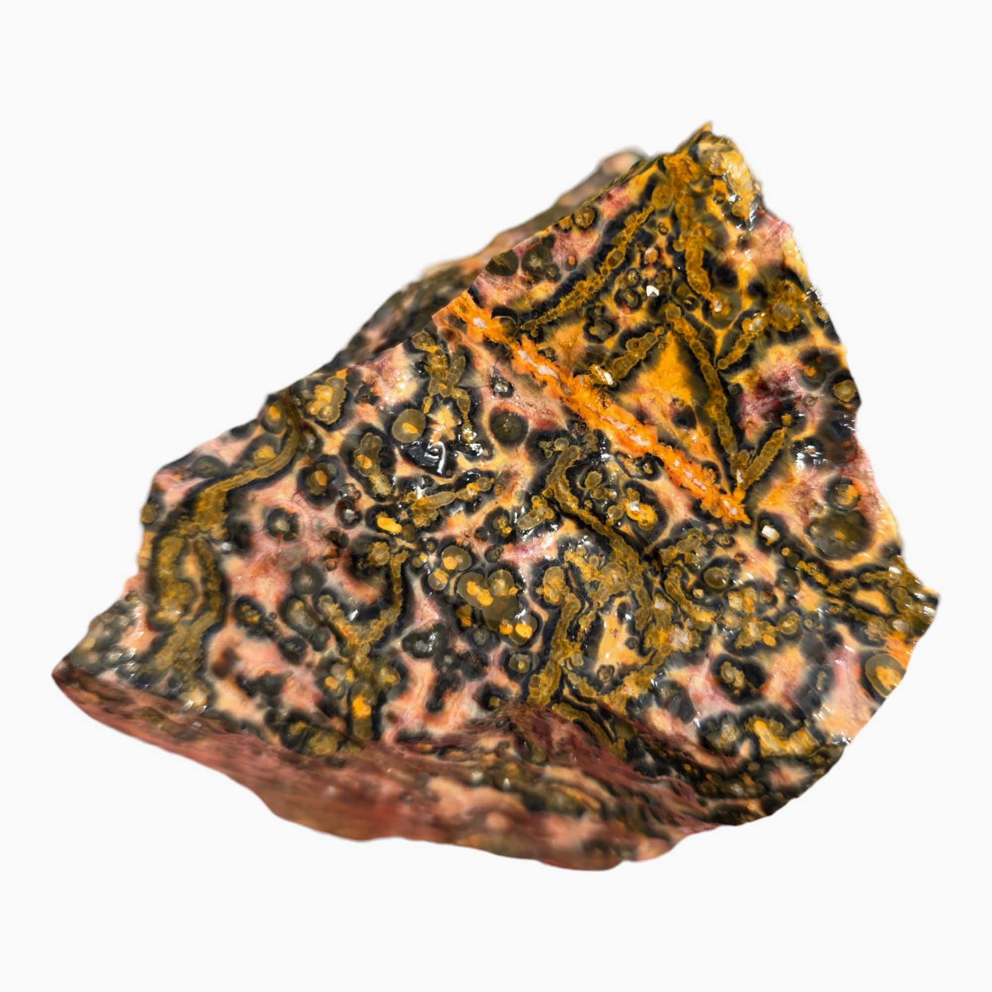 Leopard Skin Rhyolite Lapidary Cutting Rough Chunk