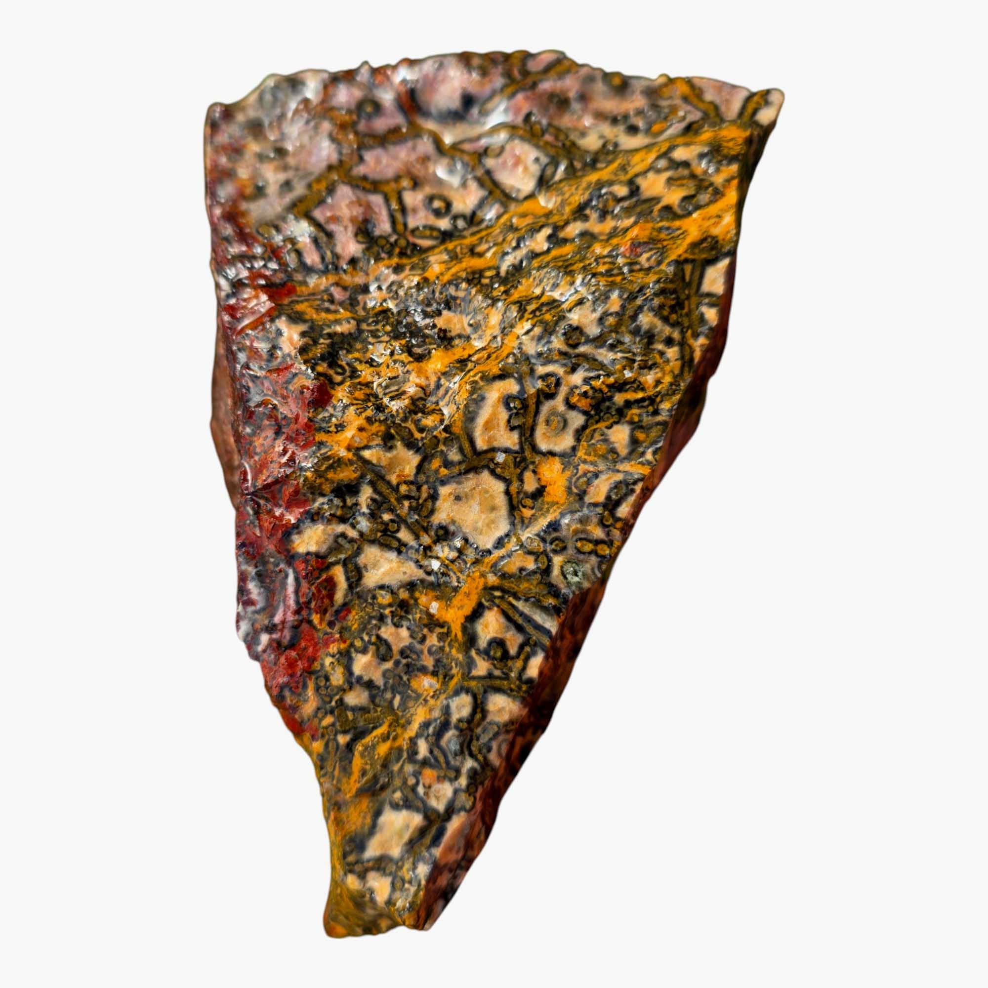Leopard Skin Rhyolite Lapidary Cutting Rough Chunk