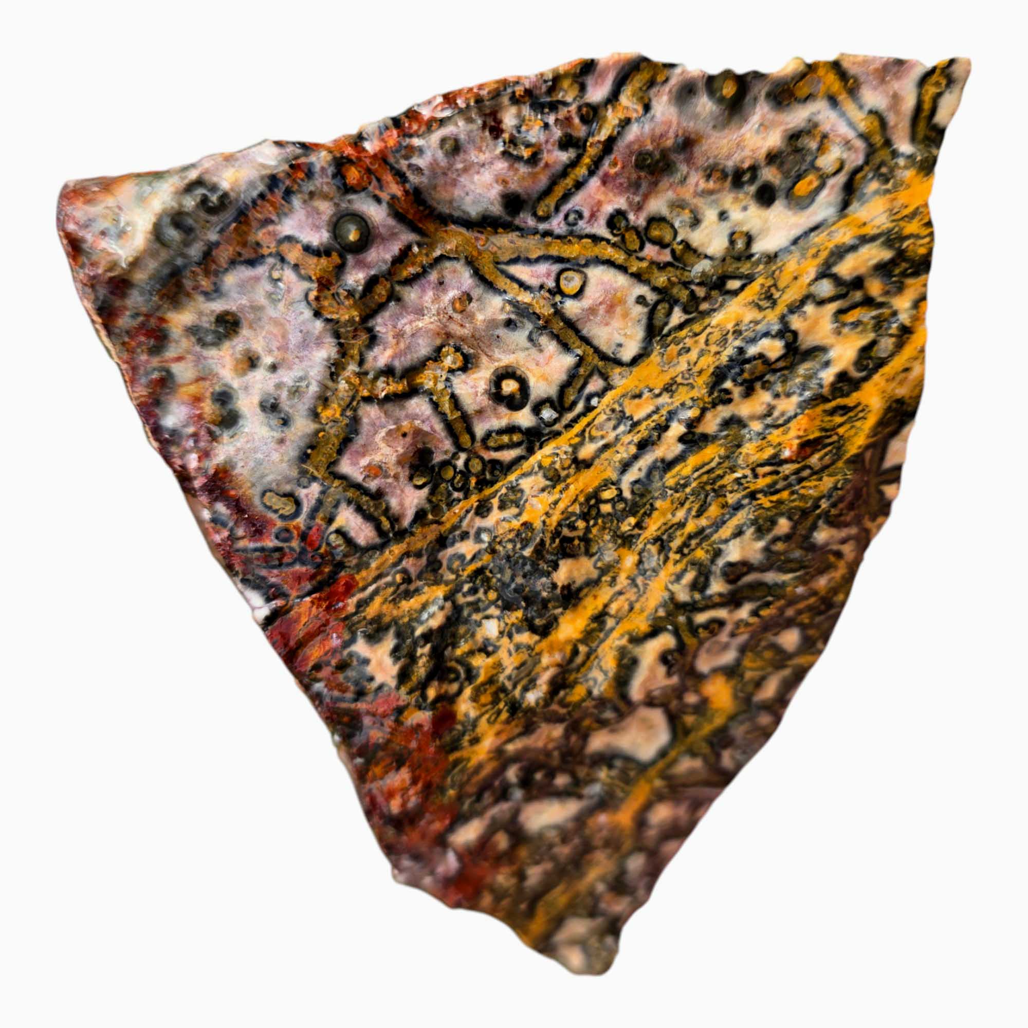 Leopard Skin Rhyolite Lapidary Cutting Rough Chunk