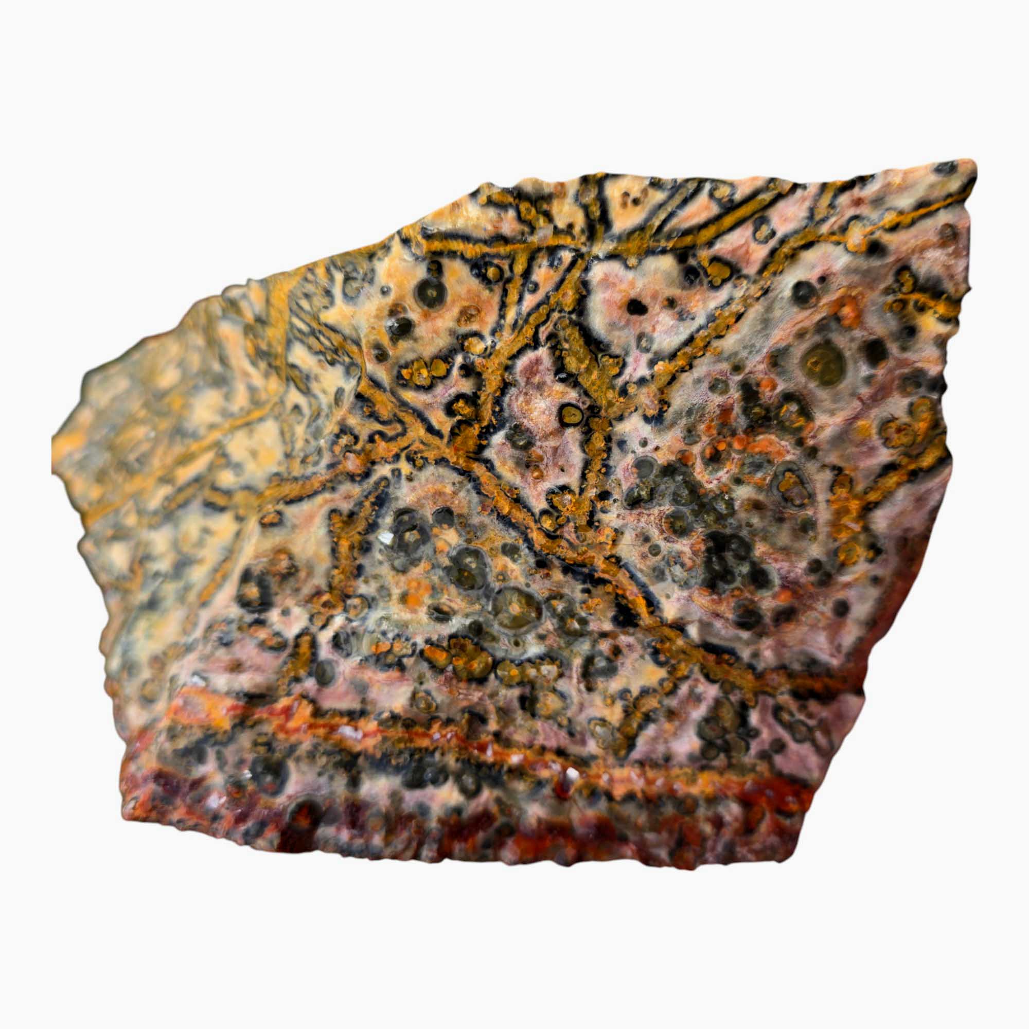 Leopard Skin Rhyolite Lapidary Cutting Rough Chunk