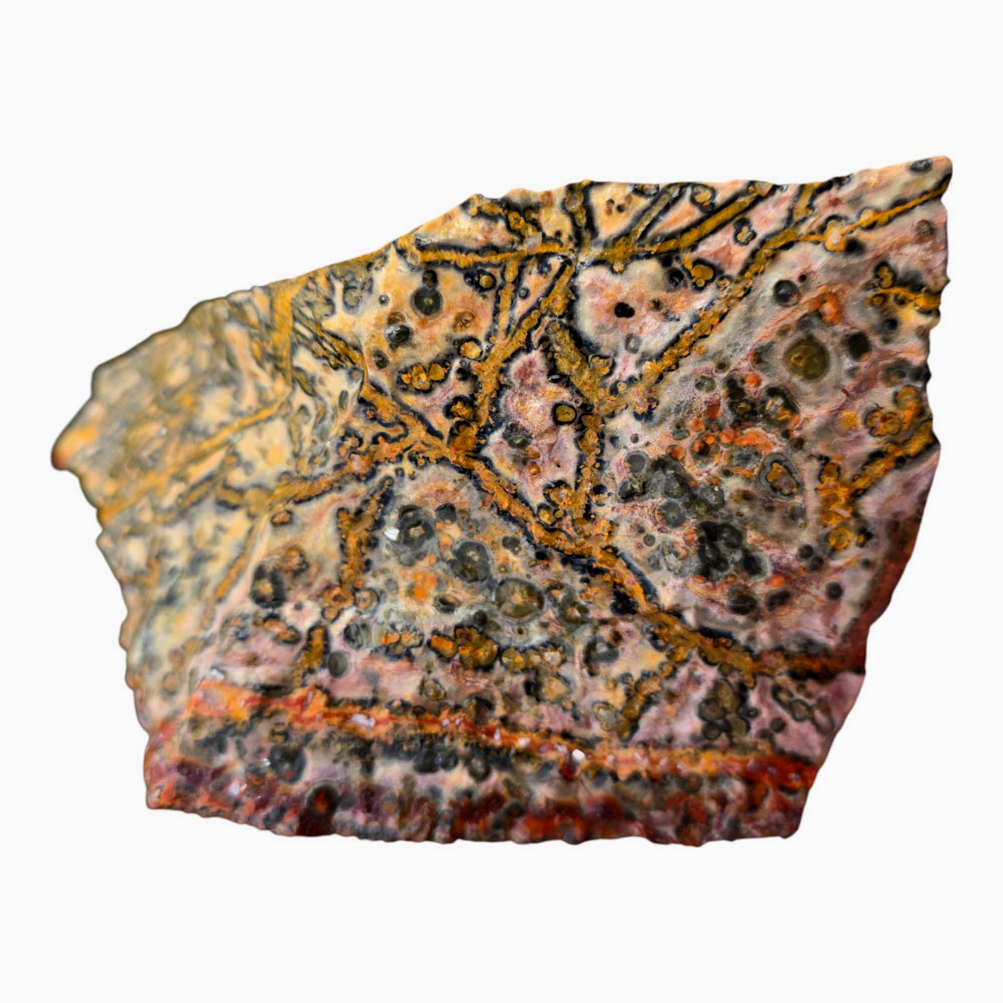 Leopard Skin Rhyolite Lapidary Cutting Rough Chunk