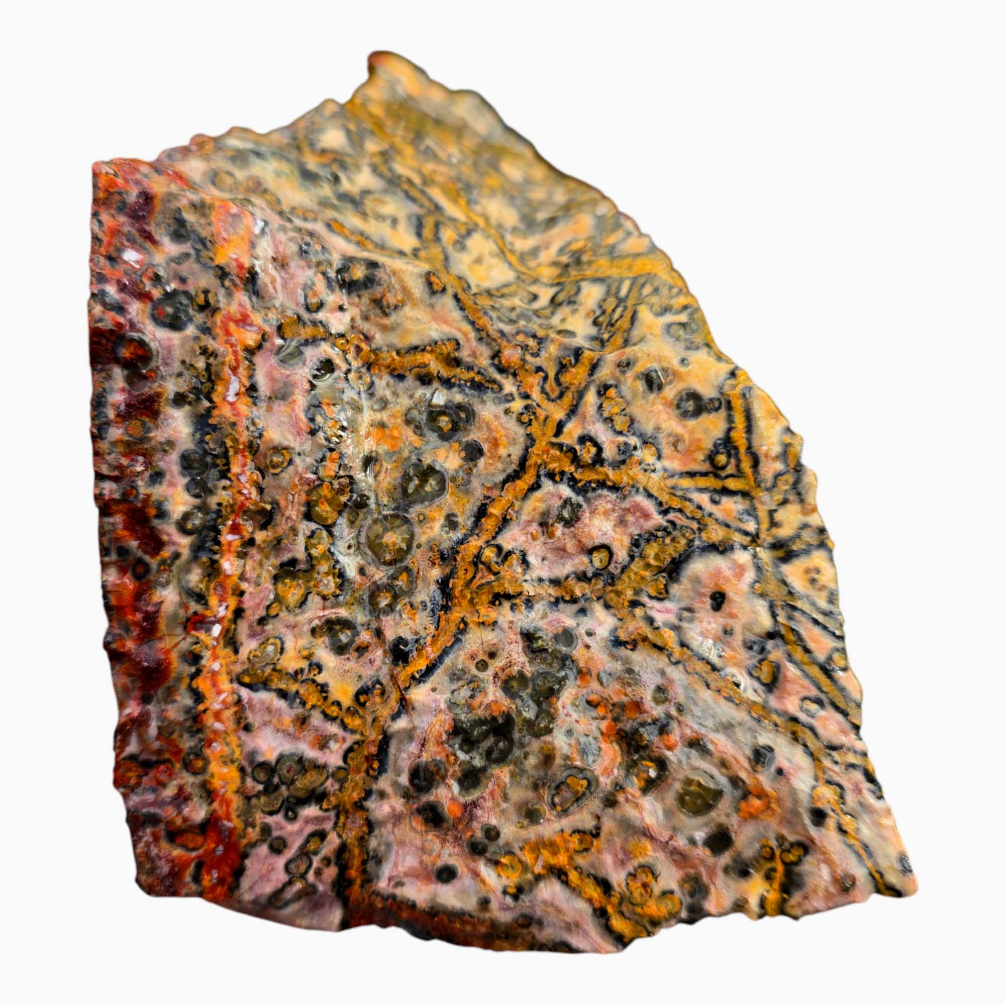 Leopard Skin Rhyolite Lapidary Cutting Rough Chunk