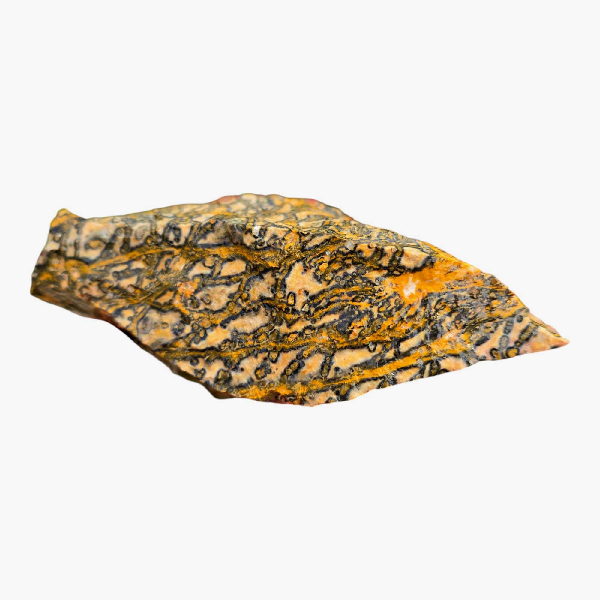 Leopard Skin Rhyolite Lapidary Cutting Rough Chunk