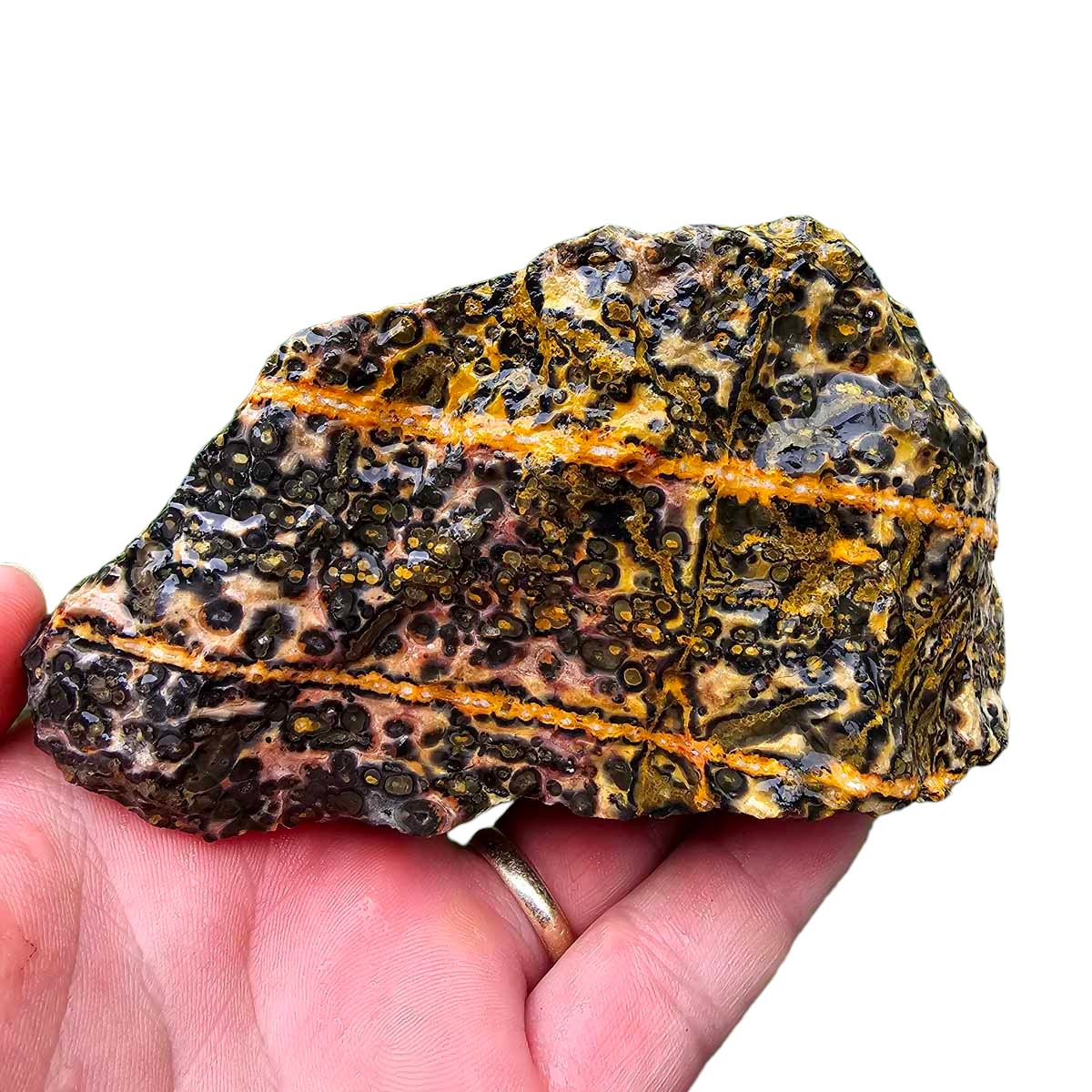 Leopard Skin Rhyolite Rough Chunk!