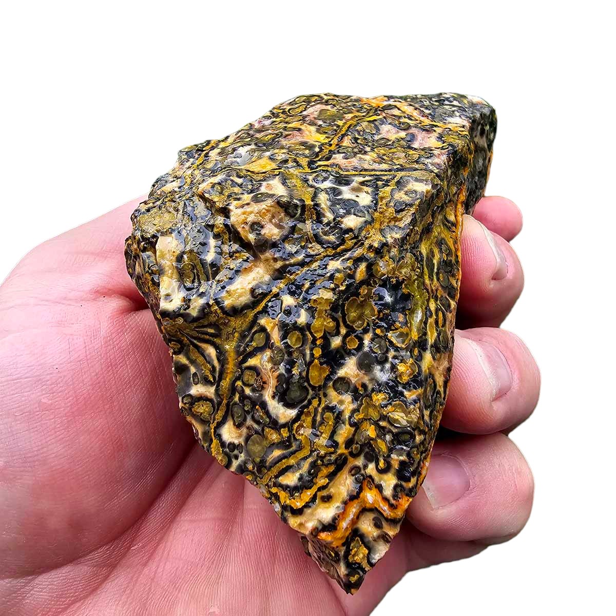 Leopard Skin Rhyolite Rough Chunk!