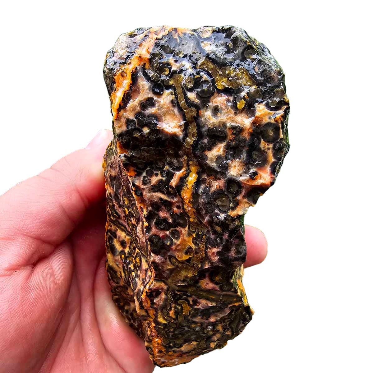 Leopard Skin Rhyolite Rough Chunk!