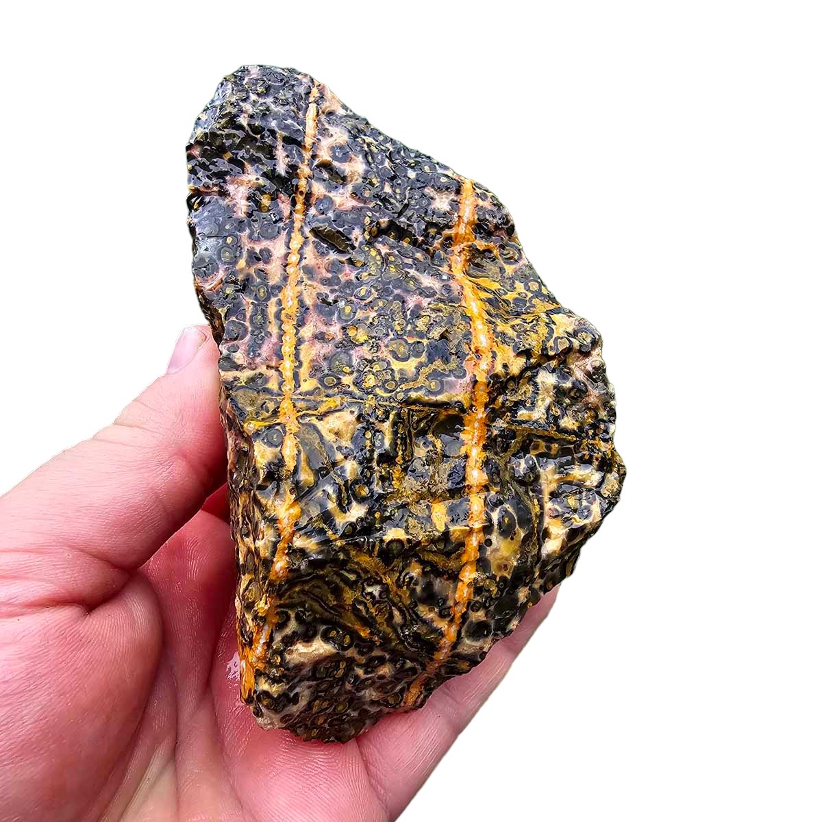 Leopard Skin Rhyolite Rough Chunk!