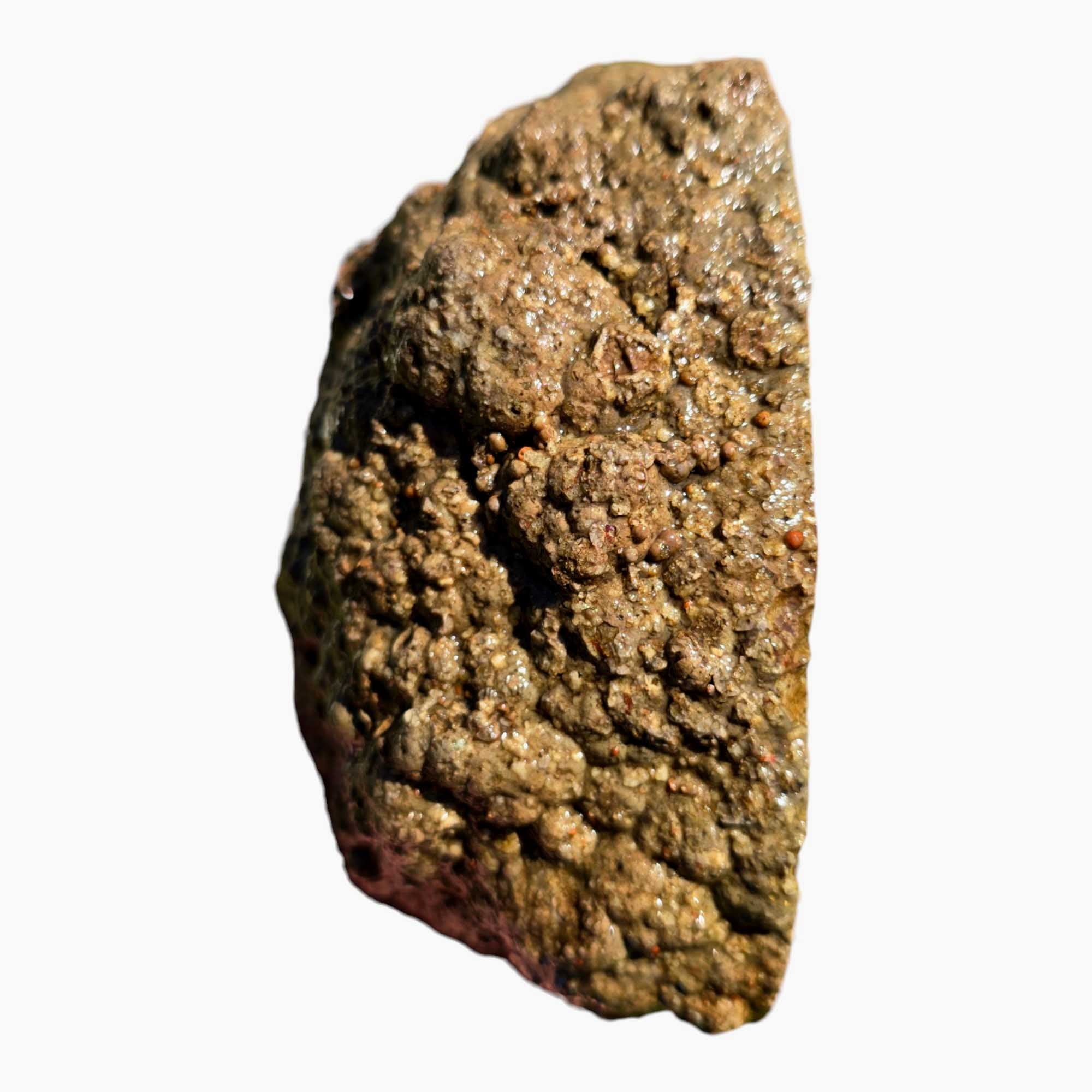 Old Stock Lucky Strike Thunderegg Bed Rough Chunk Lapidary Stone Cut Face