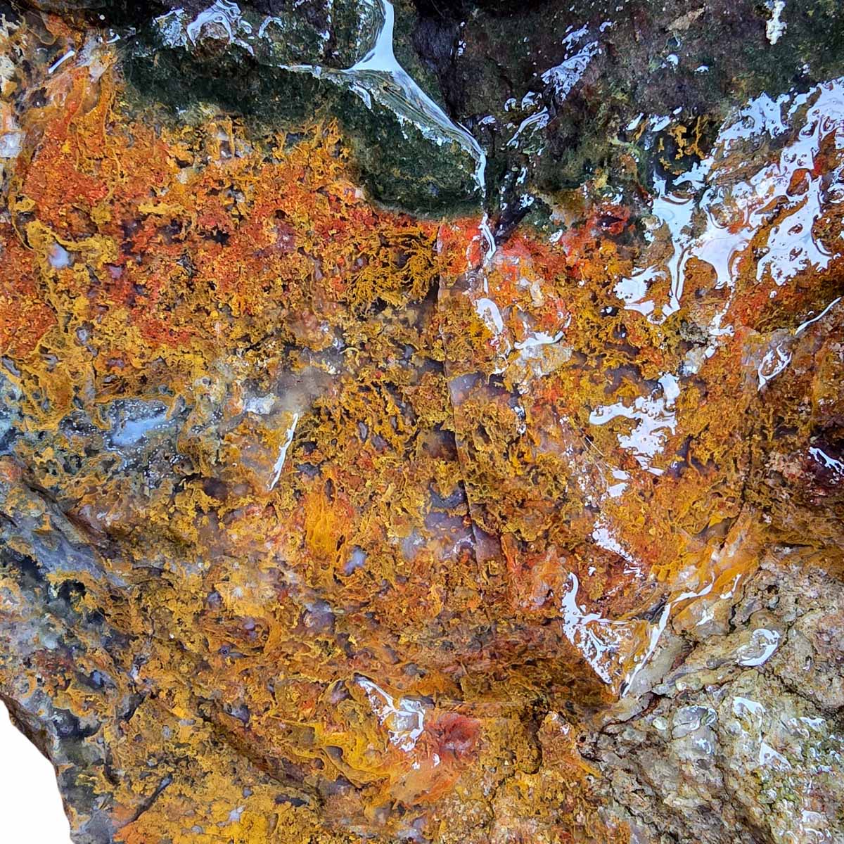 BOULDER Maury Mountain Moss Agate Rough Cutting Slice Rock Stone