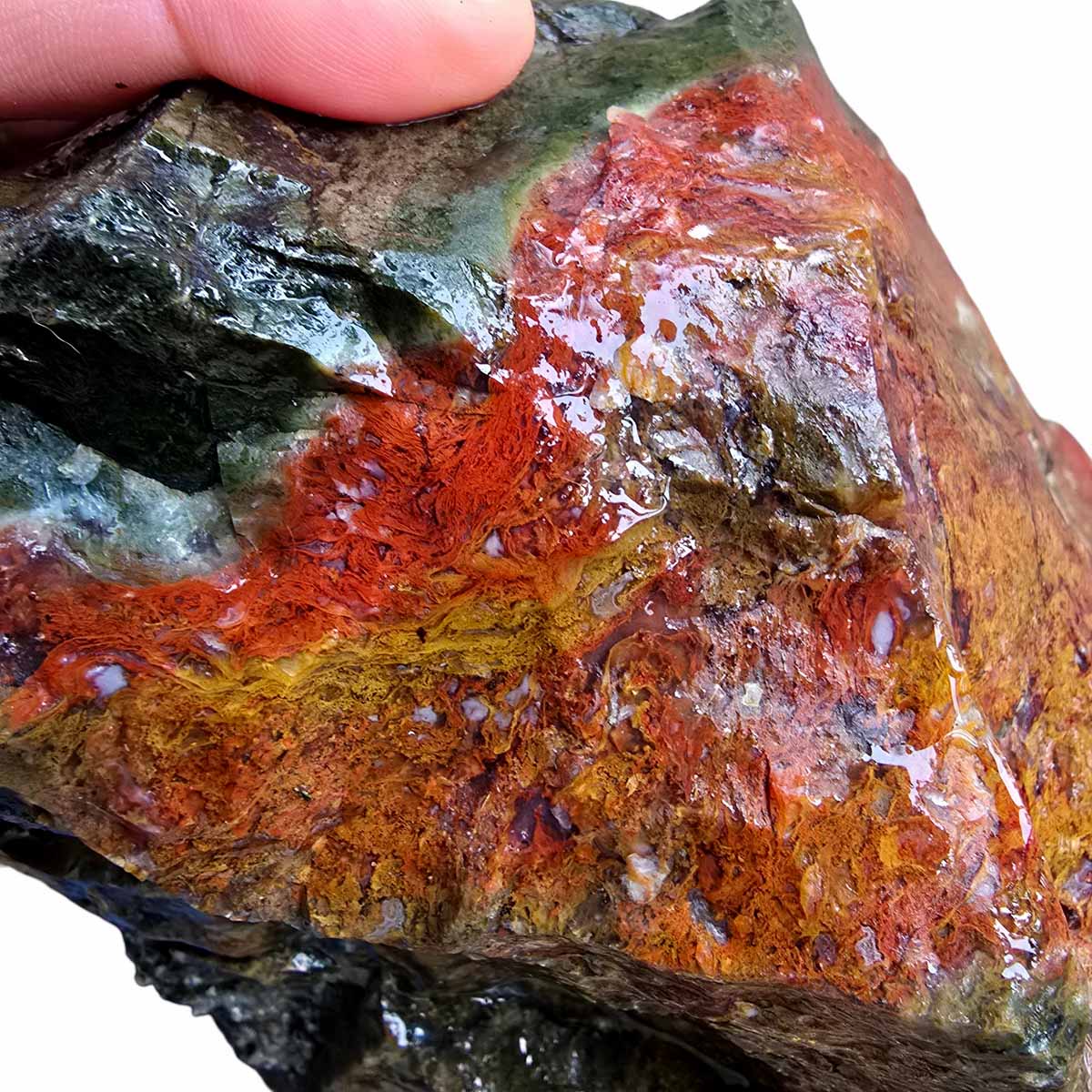 BOULDER Maury Mountain Moss Agate Rough Cutting Slice Rock Stone