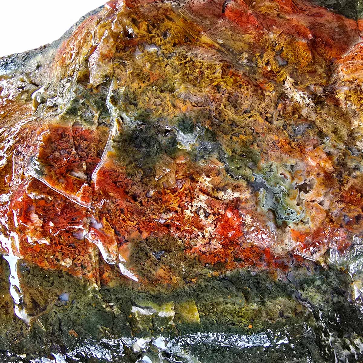 BOULDER Maury Mountain Moss Agate Rough Cutting Slice Rock Stone