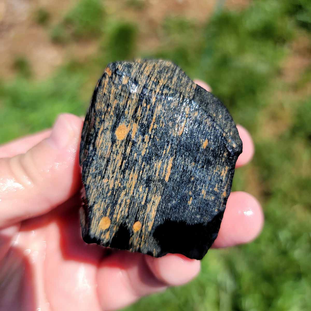 Highgrade Mexican Velvet Obsidian Rough Chunk!