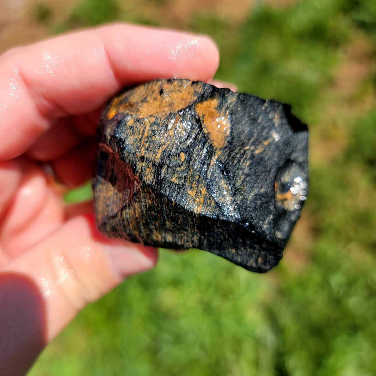 Highgrade Mexican Velvet Obsidian Rough Chunk!