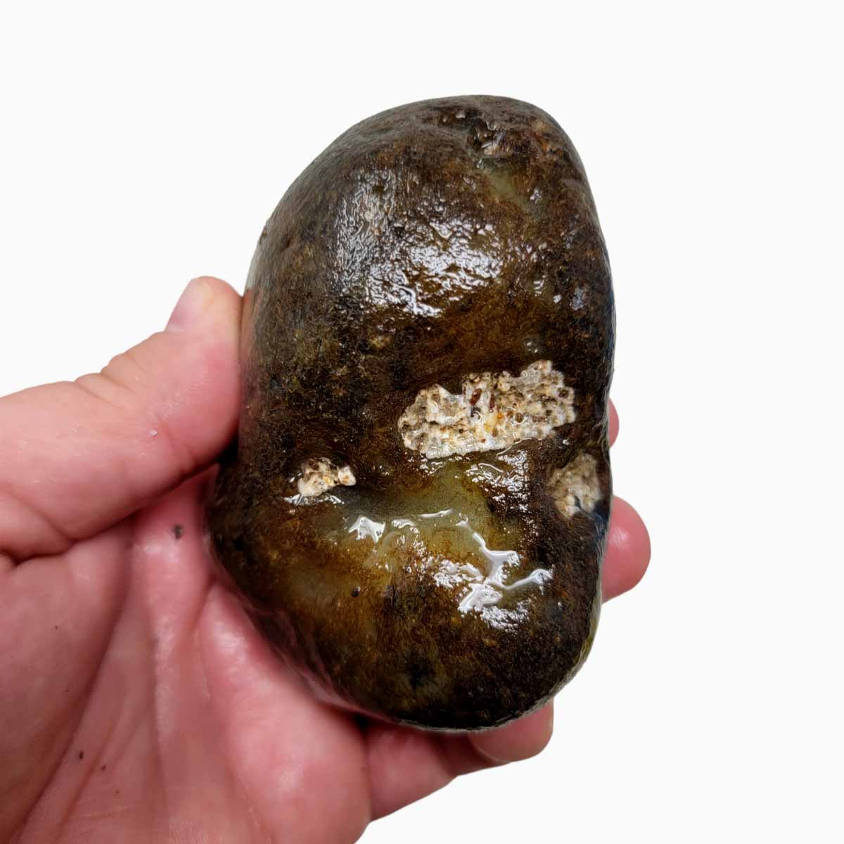 Rare Old Stock Montana Agate Rough Chunk!