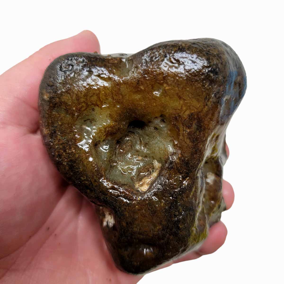 Rare Old Stock Montana Agate Rough Chunk!