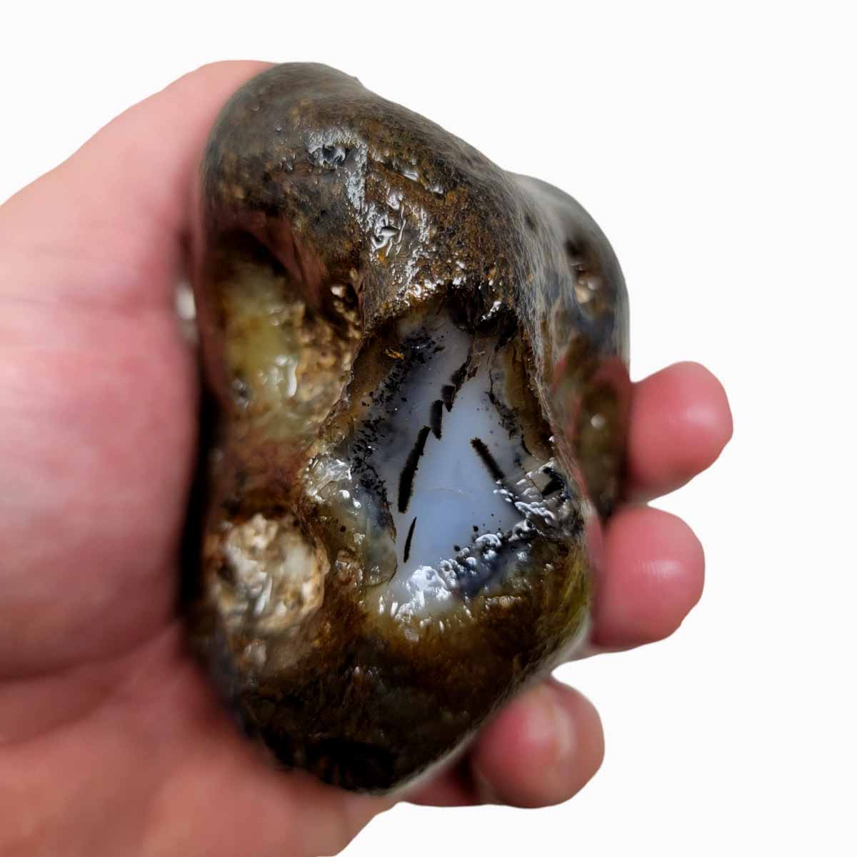 Rare Old Stock Montana Agate Rough Chunk!