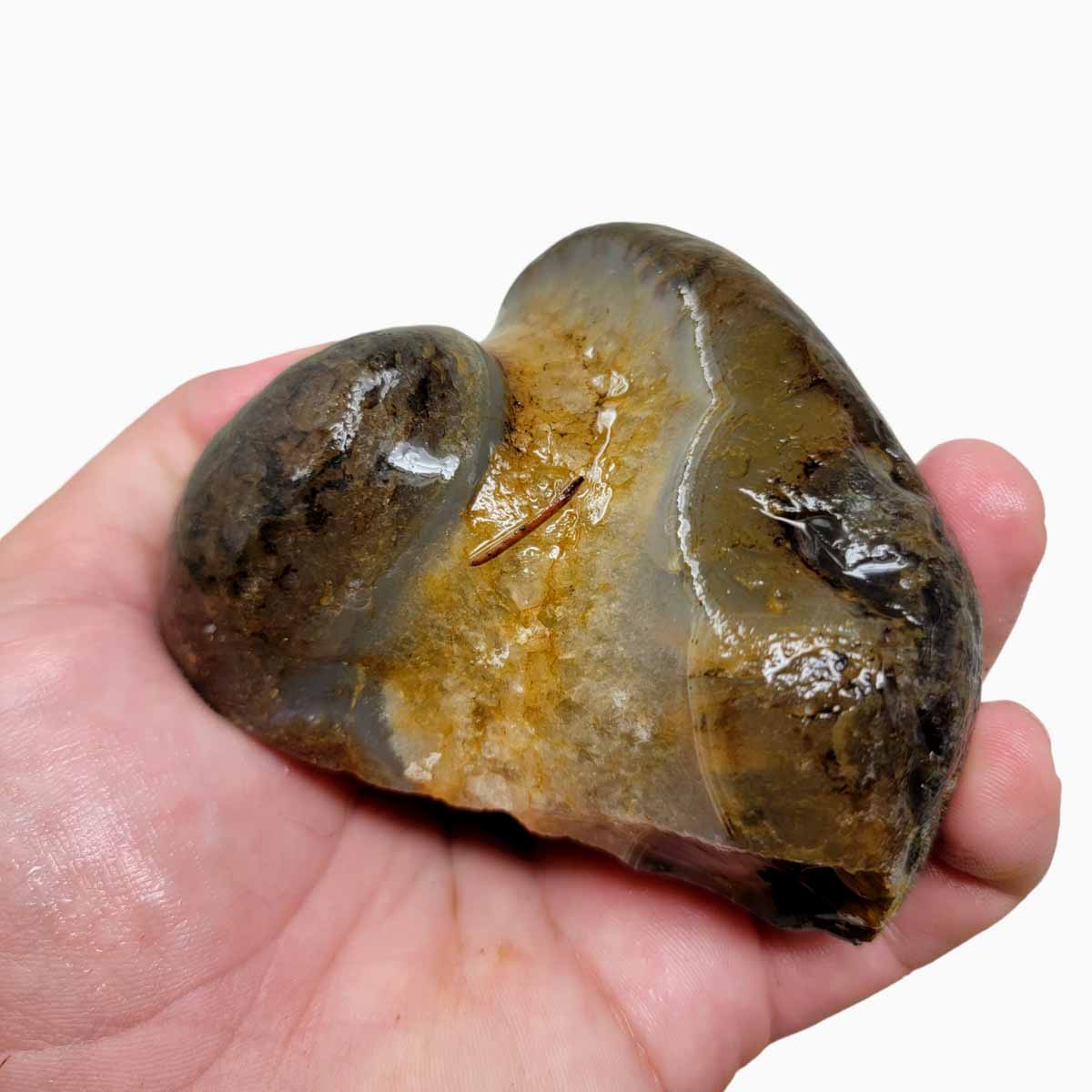 Rare Old Stock Montana Agate Rough Chunk!