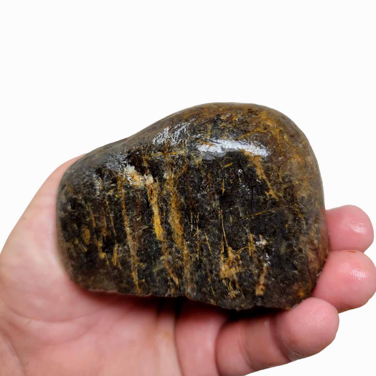 Rare Old Stock Montana Agate Rough Chunk!