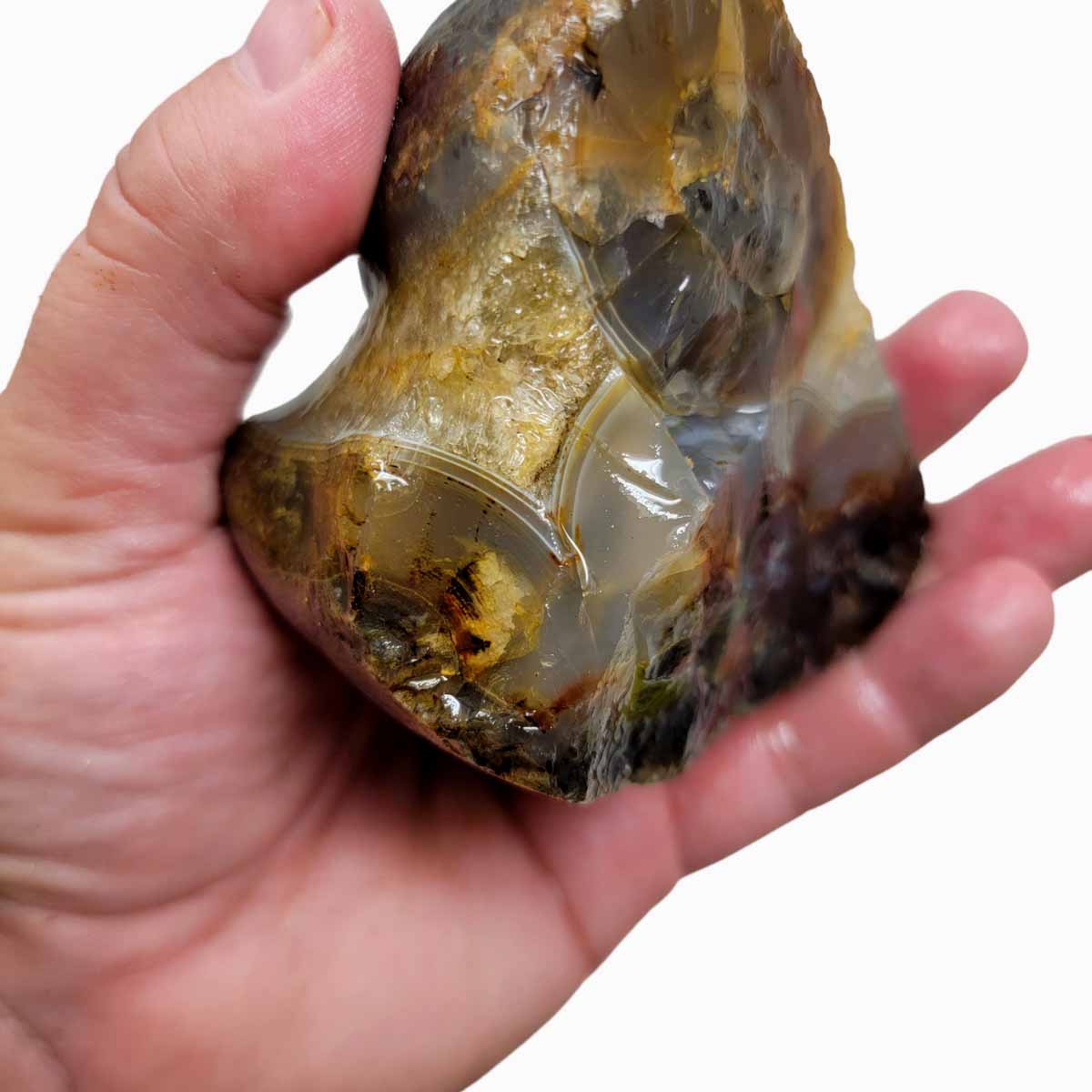 Rare Old Stock Montana Agate Rough Chunk!