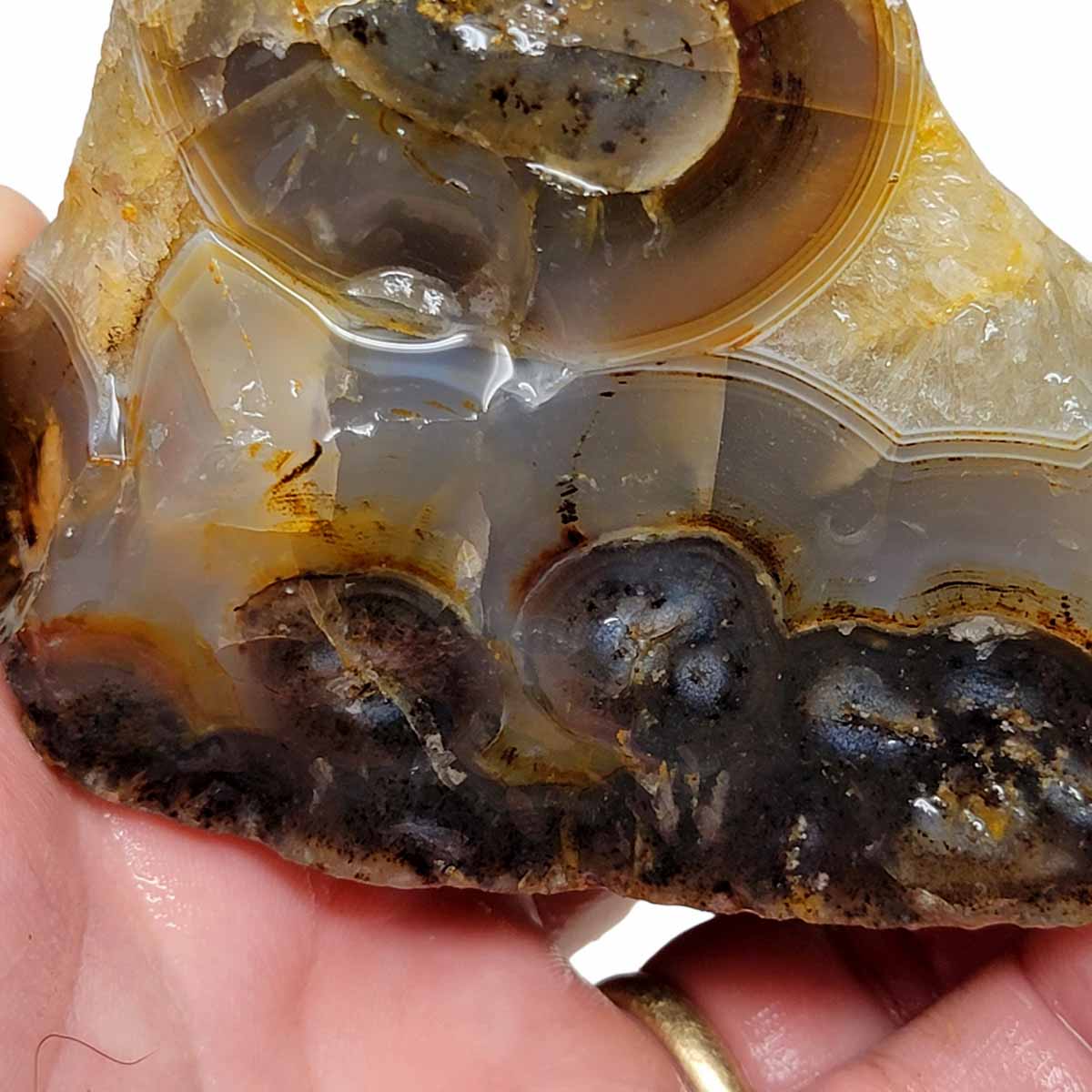 Rare Old Stock Montana Agate Rough Chunk!