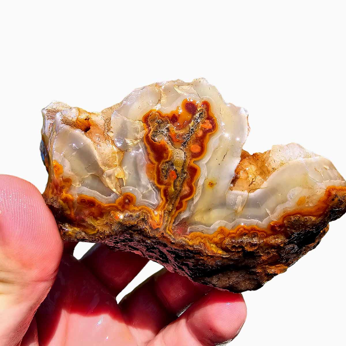 Moroccan Seam Agate Rough Chunk!