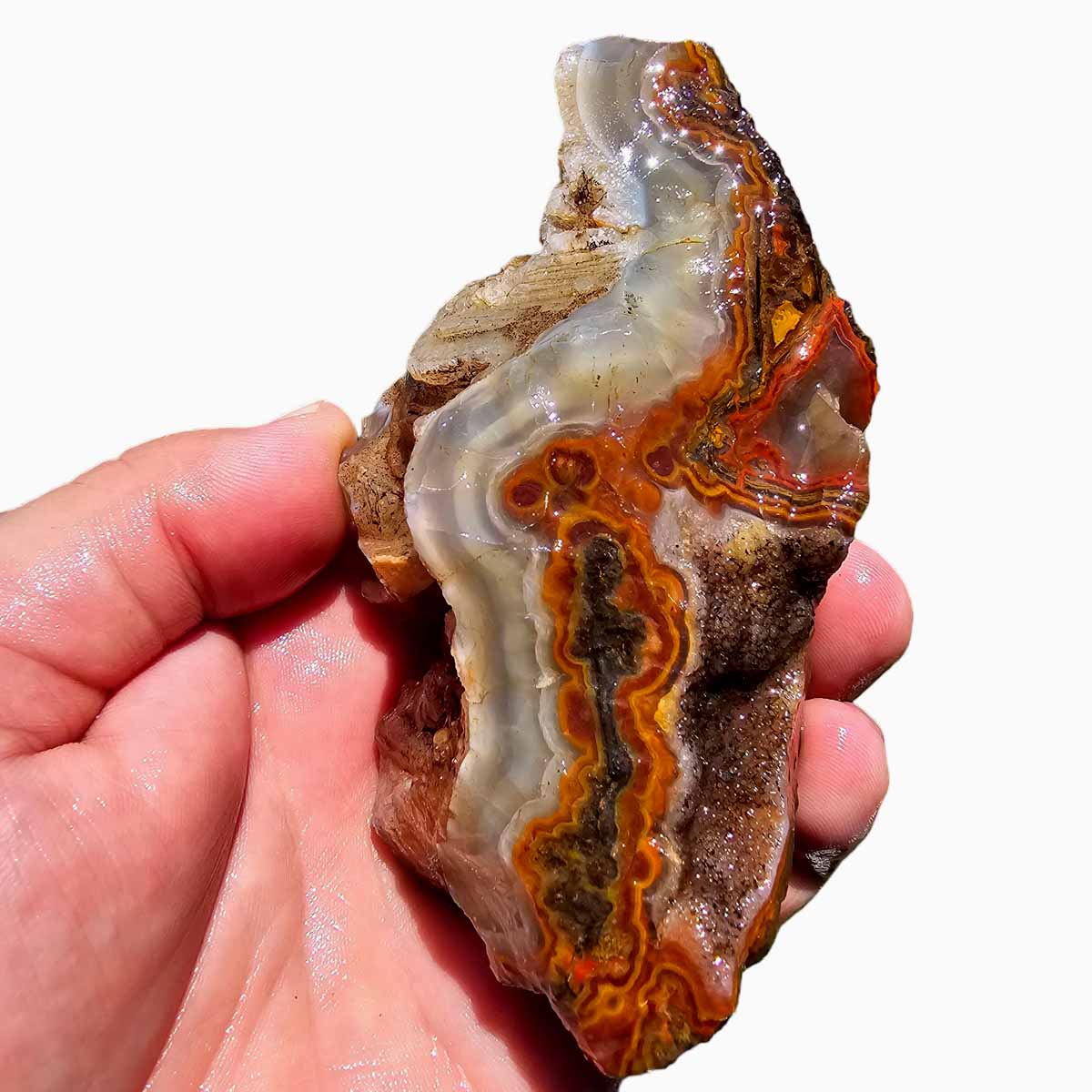 Moroccan Seam Agate Rough Chunk!