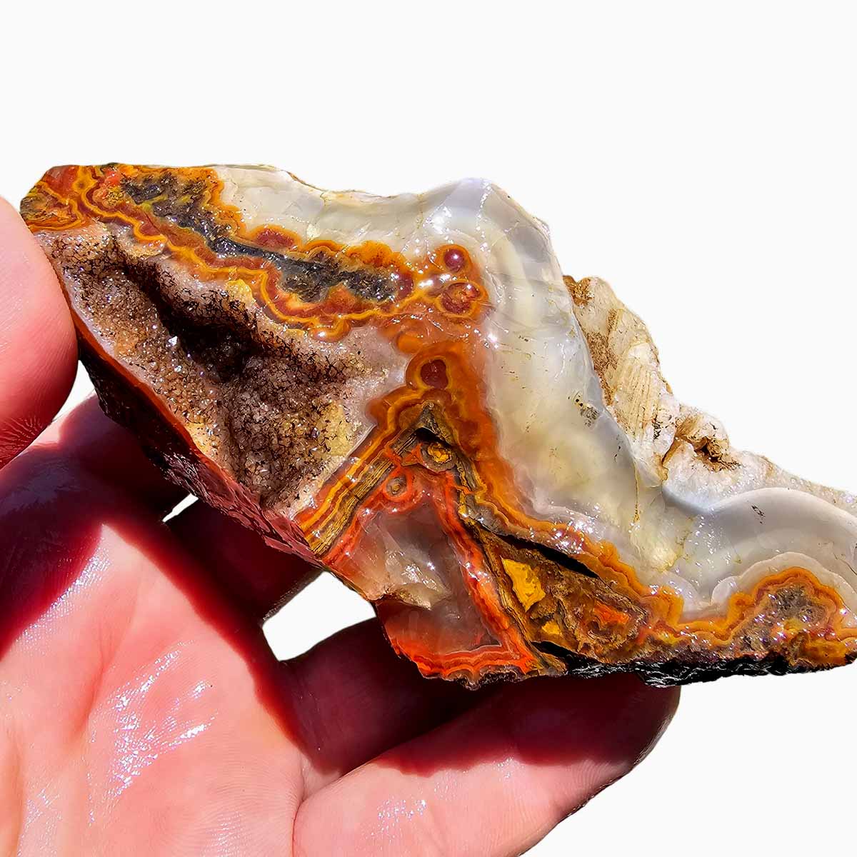 Moroccan Seam Agate Rough Chunk!