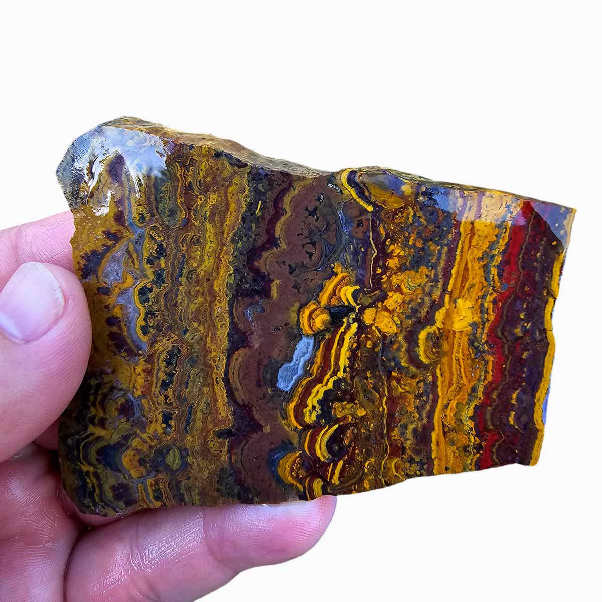 Apple Valley Jasper Slab!  Fossil Stromatolite Slab