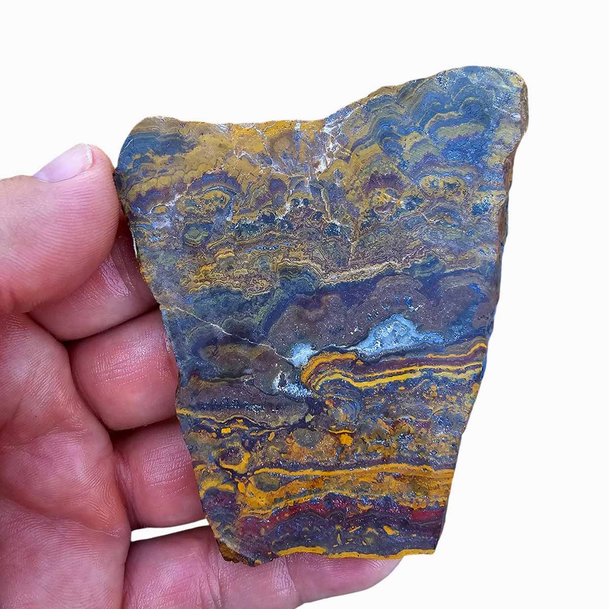 Apple Valley Jasper Slab!  Fossil Stromatolite Slab