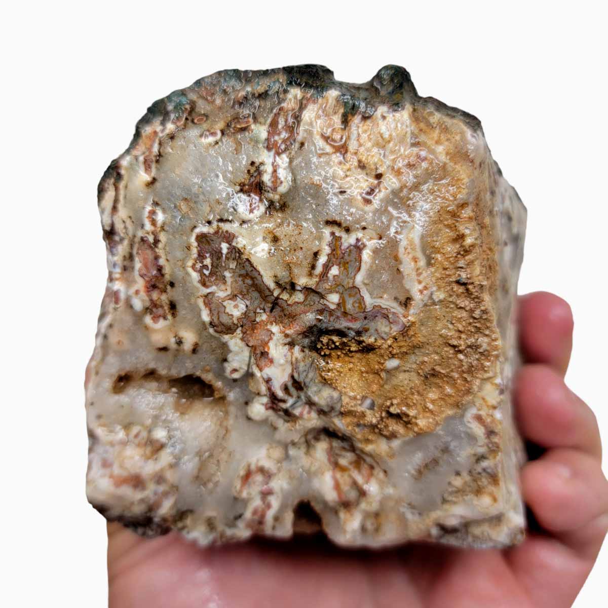 Apple Valley Agate Rough Chunk!