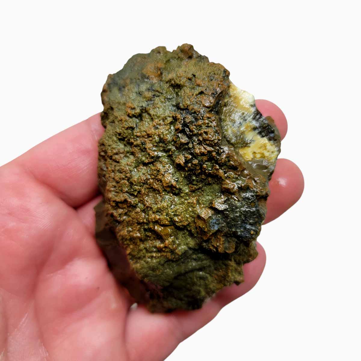 Priday Moss Bed Egg Rough Chunk!